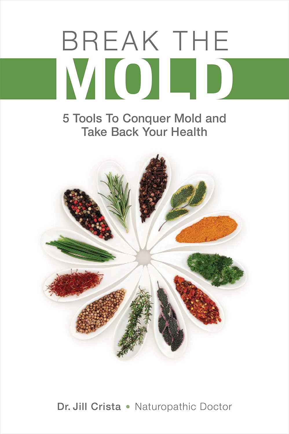 Break the Mold cover