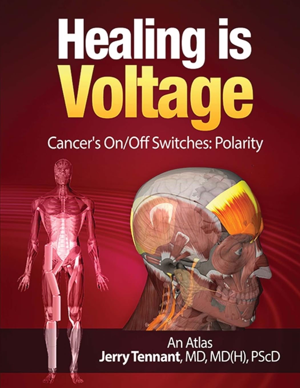 Healing is Voltage: Cancer's On/Off Switches cover
