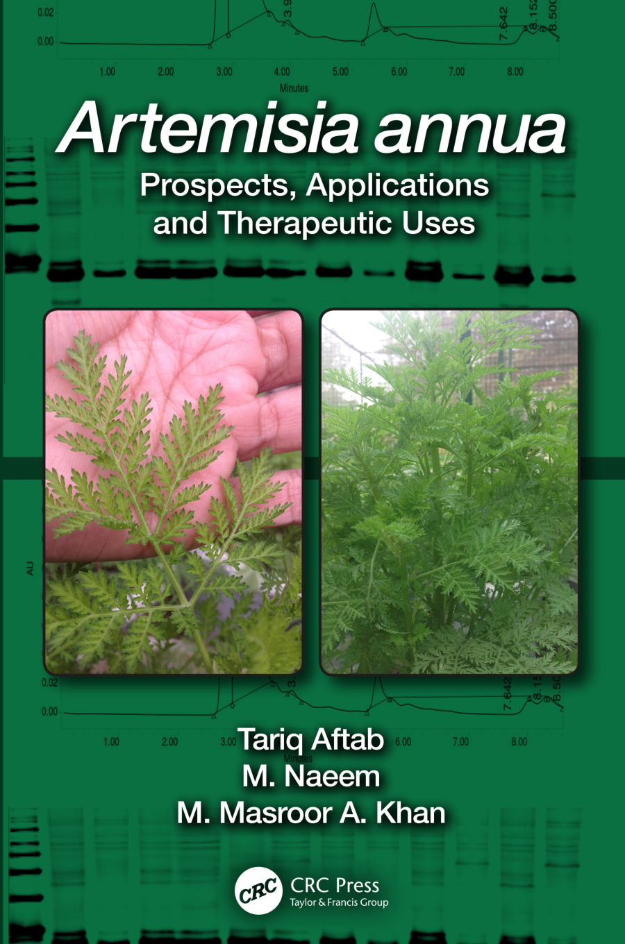 Artemisia Annua cover