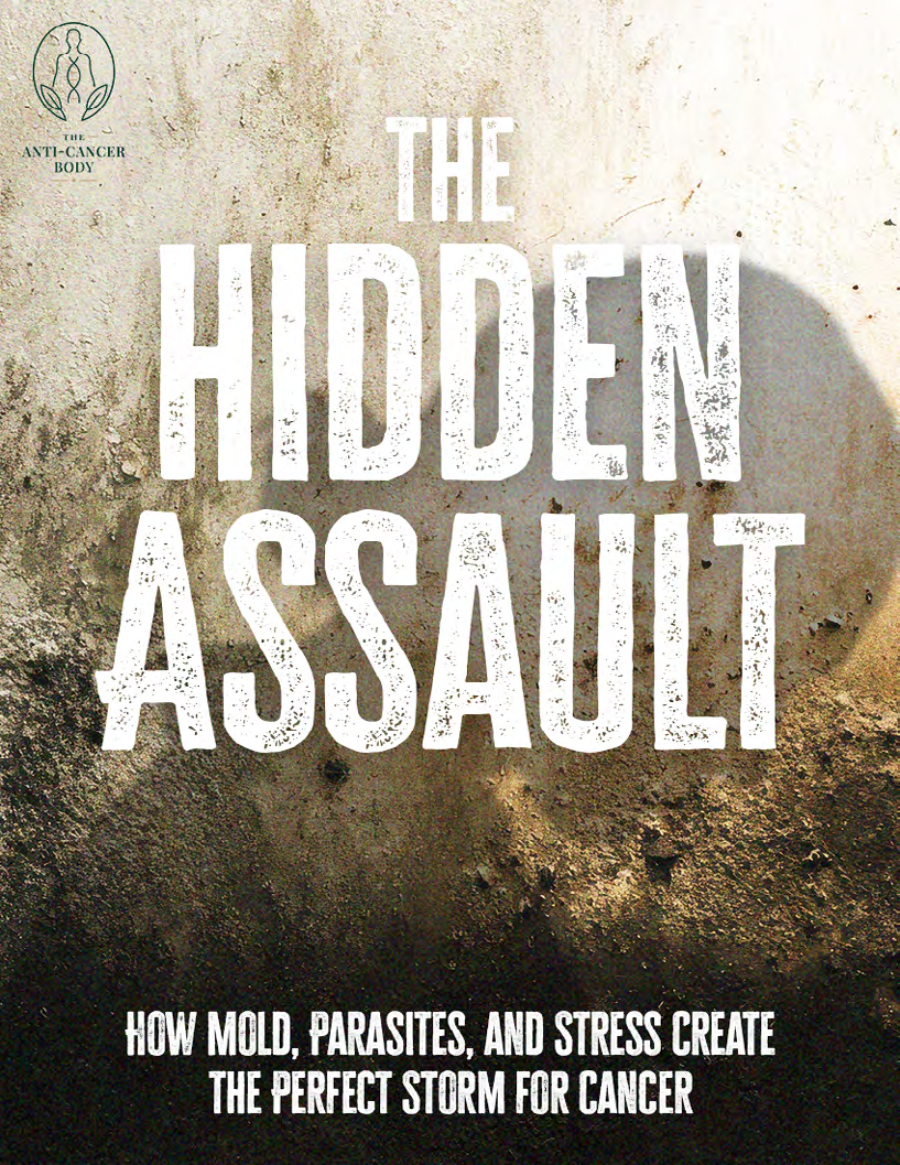 The Hidden Assault cover