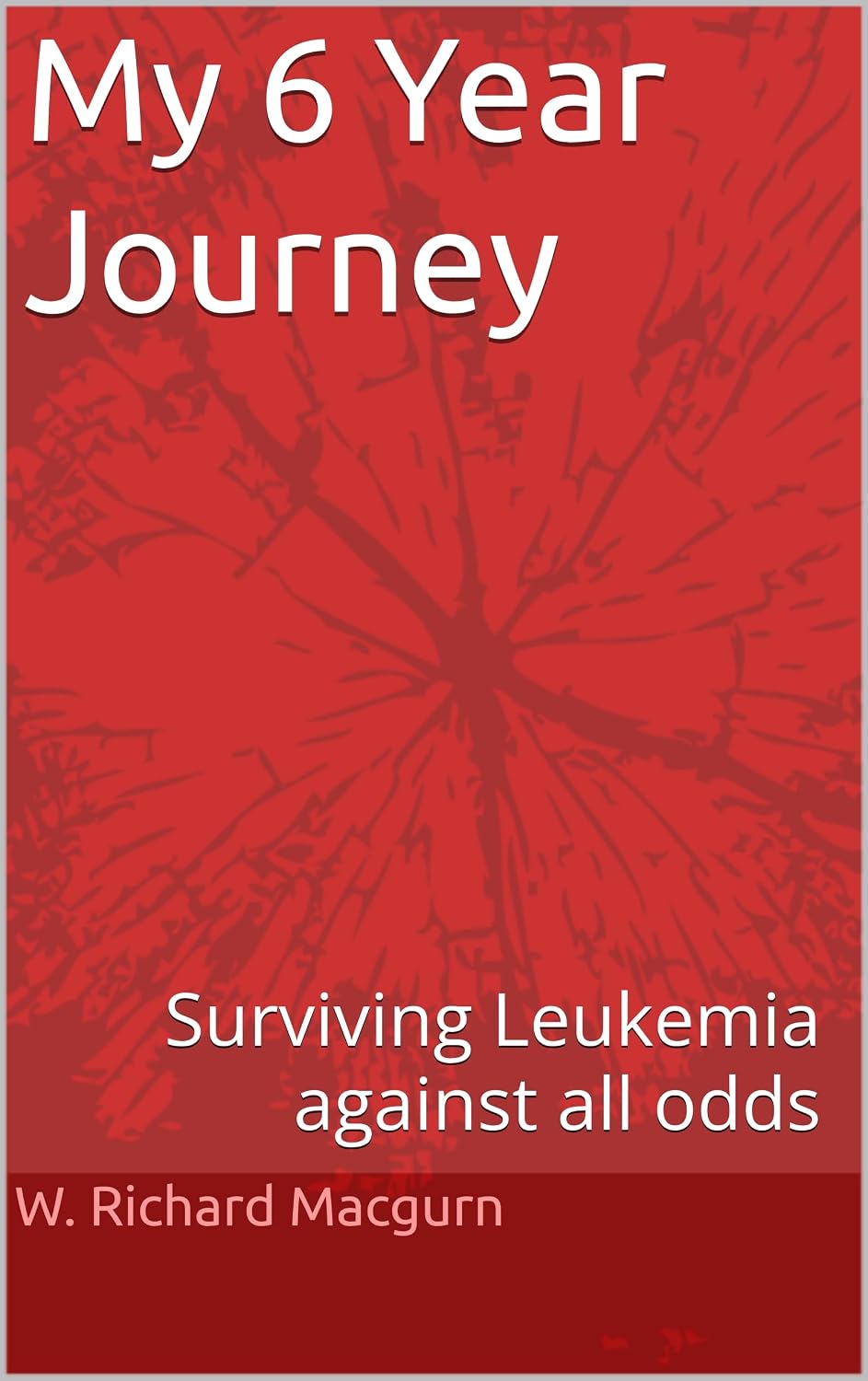 My 6 Year Journey cover