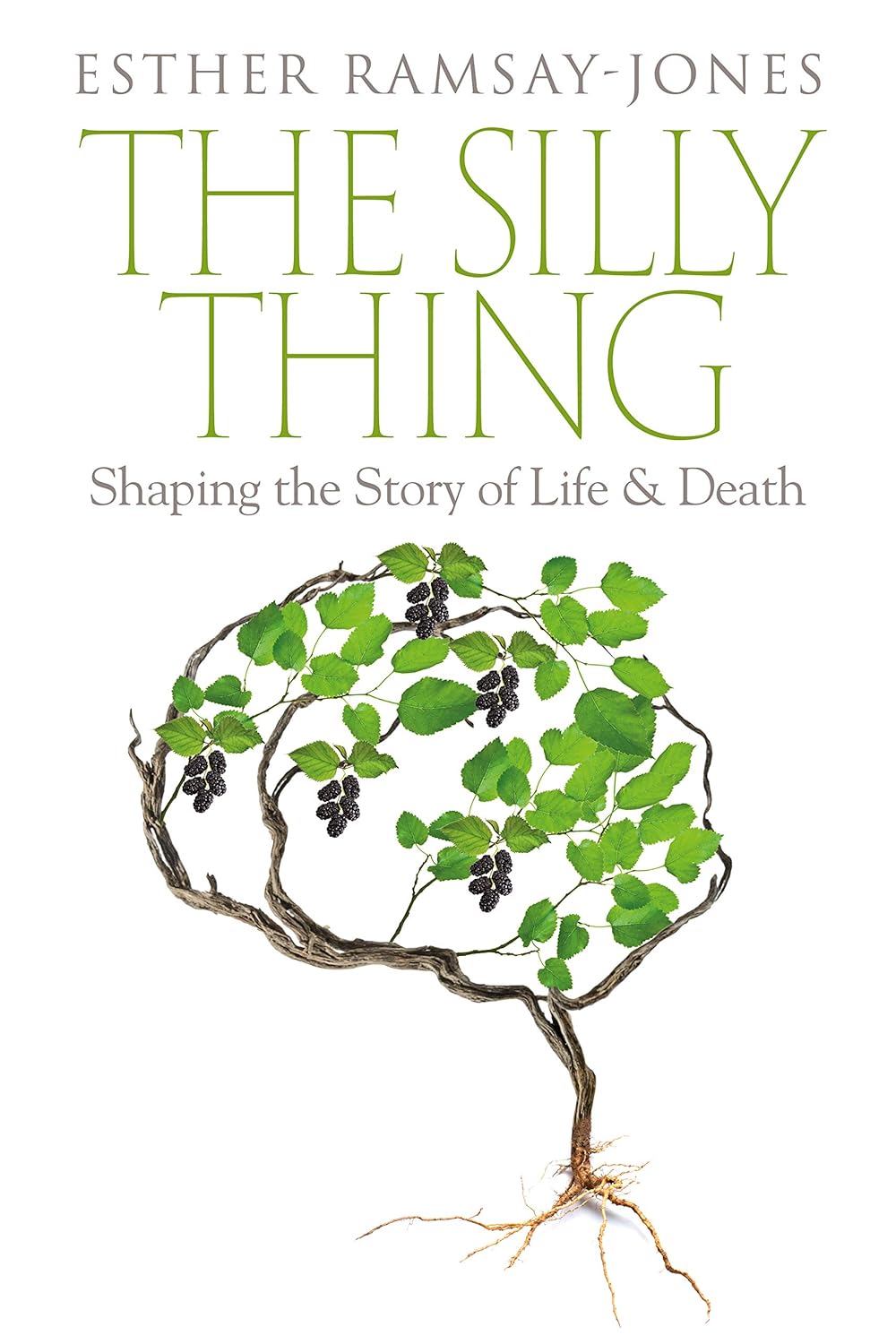 The Silly Thing cover