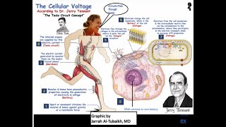 Healing is Voltage | Jerry Tennant, MD thumbnail