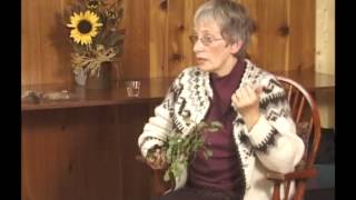 Essiac: A Modern Folk Remedy thumbnail