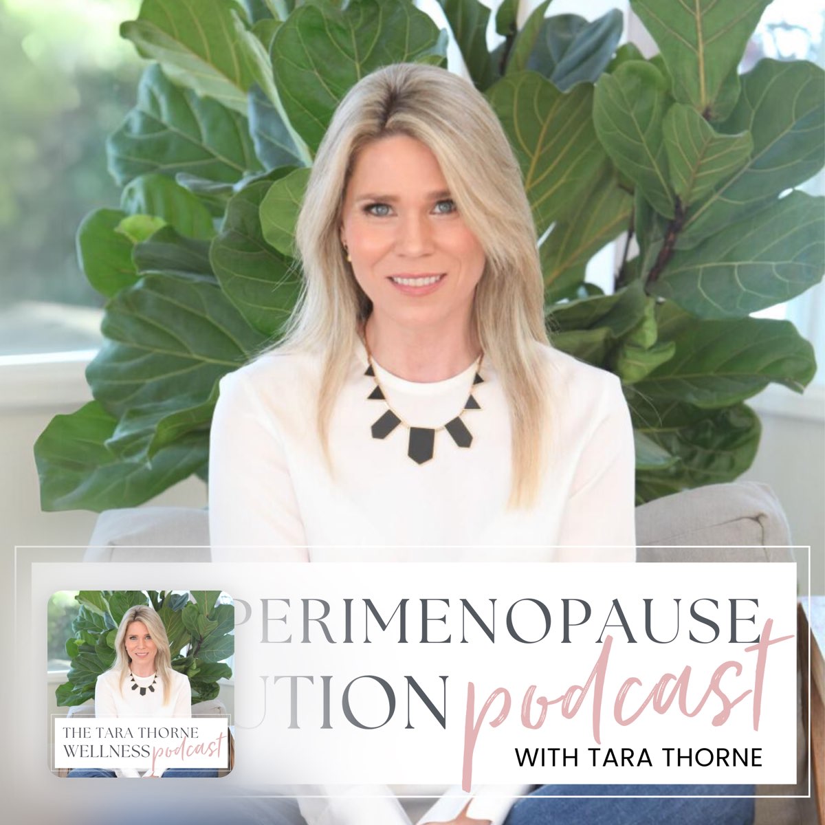 All about melatonin: a hormone that's anti-cancer, anti-inflammatory, aids brain detox & SO much more thumbnail